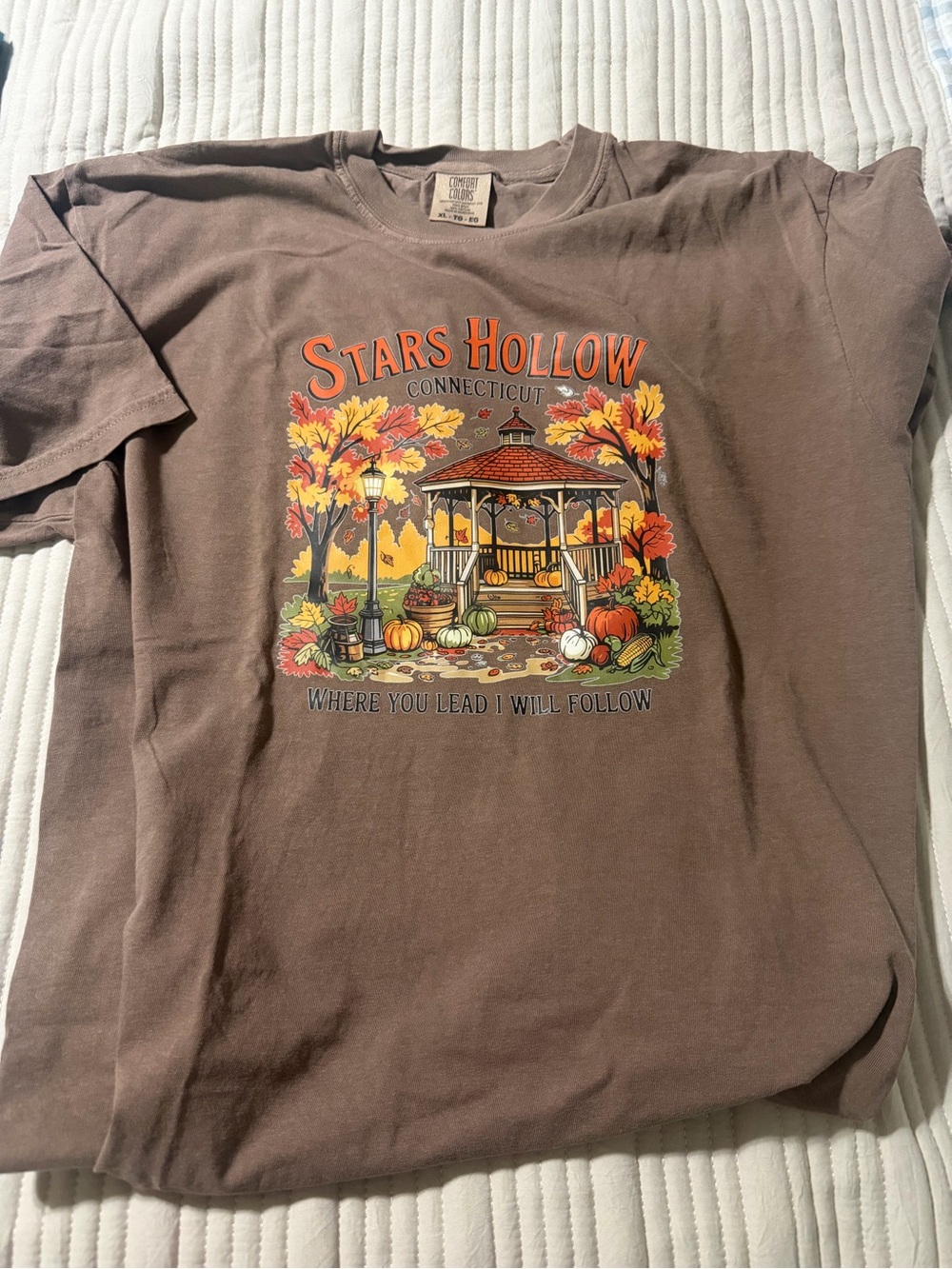 Comfort Colors Brown Crew Neck Tee - XL